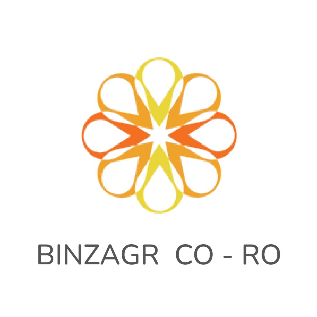 BINZAGR CO-RO SAUDIA